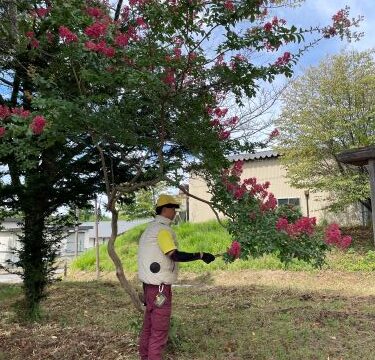 第54回　岩手県森林組合デーを開催しました