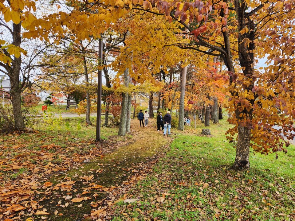 ☆森林（モリ）モリ体験隊開催☆ | 遠野地方森林組合